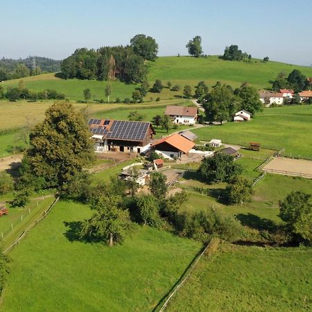 Carlo Apartment Wangen im Allgaeu Ngoại thất bức ảnh