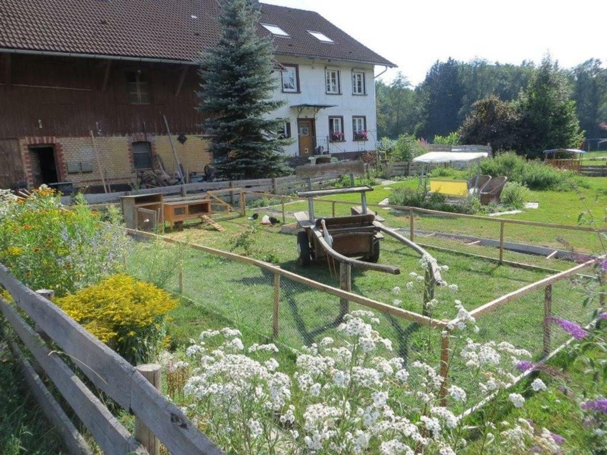 Carlo Apartment Wangen im Allgaeu Ngoại thất bức ảnh
