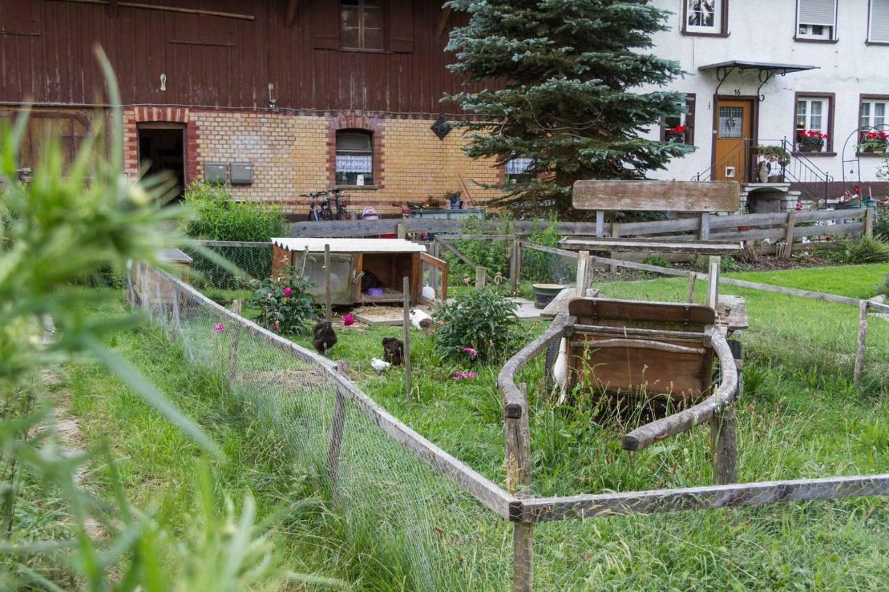 Carlo Apartment Wangen im Allgaeu Ngoại thất bức ảnh